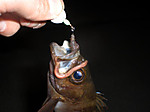 Photo_12