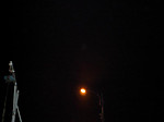 Photo_5