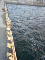 Ca380513_medium