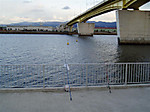 P1100024_medium