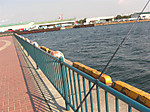 526_medium