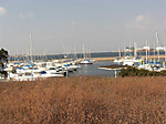528_medium