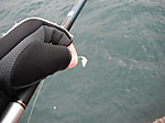Photo_4