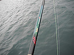 Photo_5