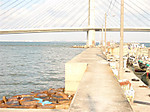 533_medium