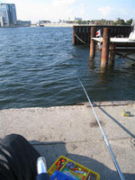 Photo_5