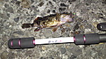 Photo_44