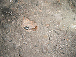 Photo_6