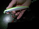 Photo_2