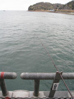 Img_1711_small