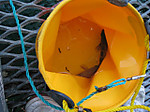 Img_1715_small