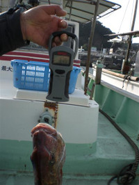 Photo_12