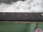 Photo_5