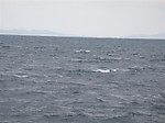 271_medium