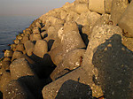 Photo_4
