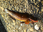 Photo_6