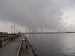 286_medium
