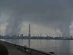 292_medium