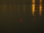 315_medium