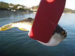 Photo_6
