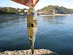 Photo_8