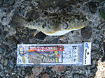 Photo_9