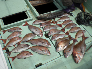 Photo_11