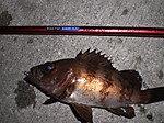 Photo_14