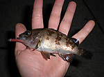 Photo_17