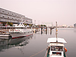 688_medium