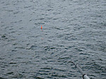 5_601_medium