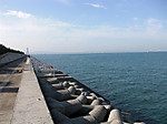 563_large