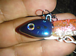 Pa240190_small