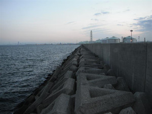 Photo_13