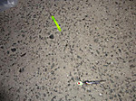 Photo_32