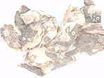 530_medium_2