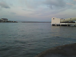 Medium_8