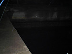 Photo_3