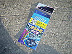 Pb070945_large