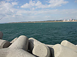 Photo_15