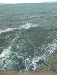 Medium_3
