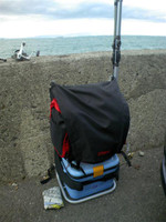 Medium_5