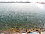 3_698_medium