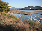 Photo_2