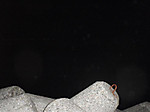 532_medium