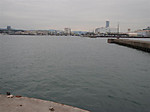 593_medium_2