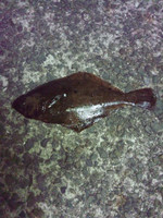 Photo_2