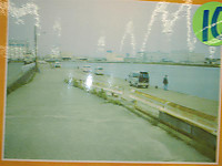 608_medium