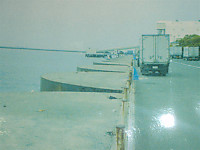 614_medium_2