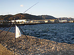 Photo_3